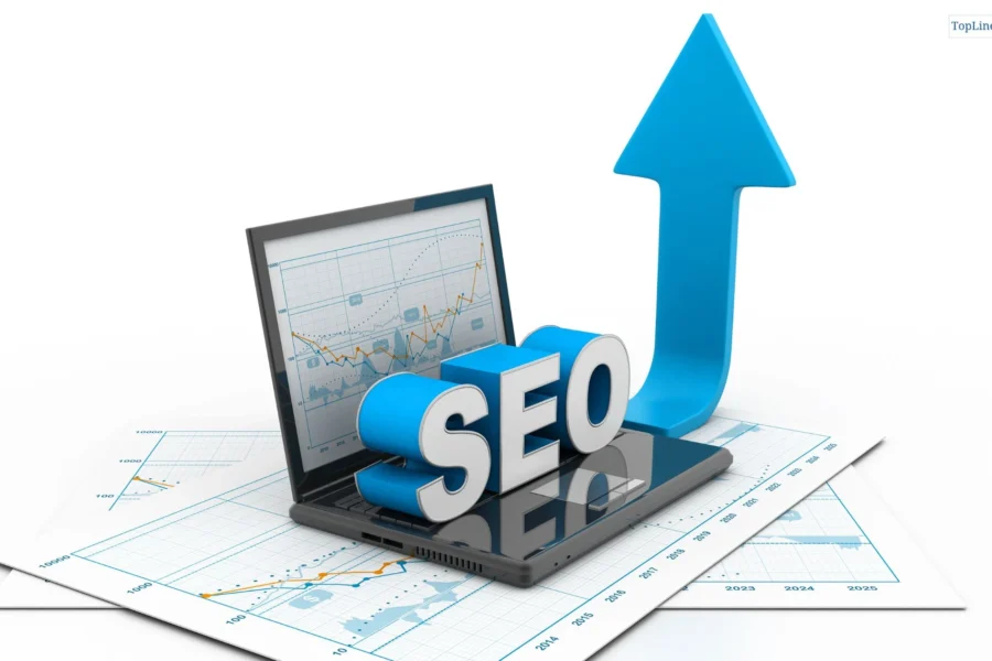 Organic Search Engine Ranking